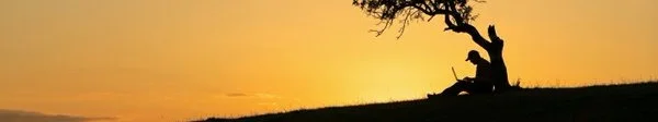 martintale cover image
